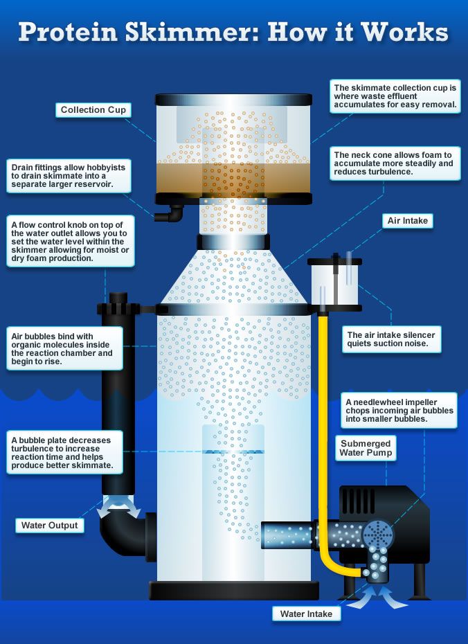 What is a Protein Skimmer and How Does It Work? REEF2REEF